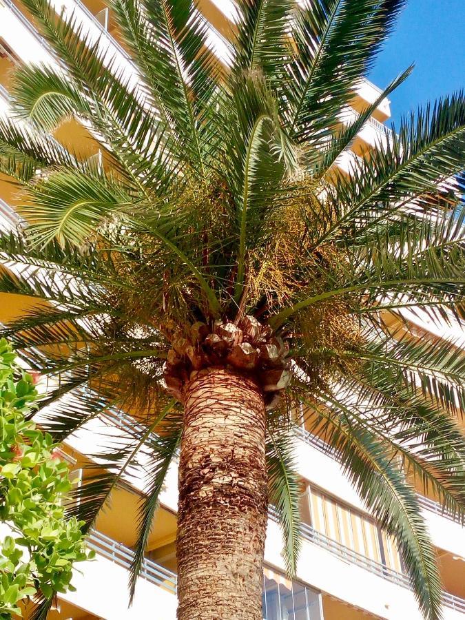 דירות קלפה Voramar מראה חיצוני תמונה