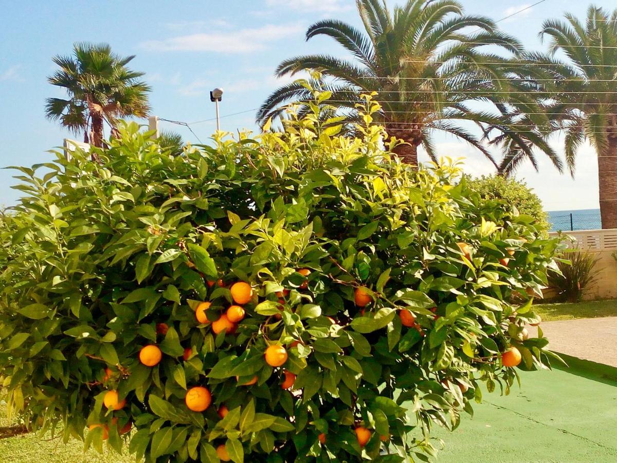 דירות קלפה Voramar מראה חיצוני תמונה
